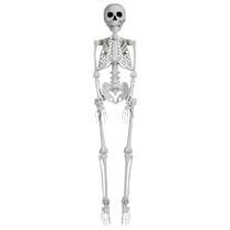 Way To Celebrate, Faux Posable Winged Skeleton, 36-inch, Beige ...