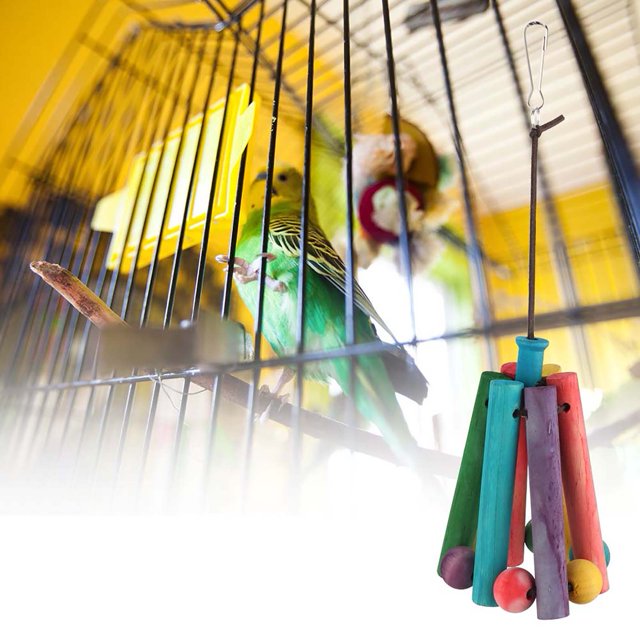 Parrot Toy,Parrot Toy Bird Chewing Hanging Parrort Toy Parrot Toywith Hanger Highly Recommended