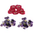 thumbnail image 1 of segolike 30 Pcs Fleurs Séchées Pressées pour Bricolage Scrapbooking, 1 of 9