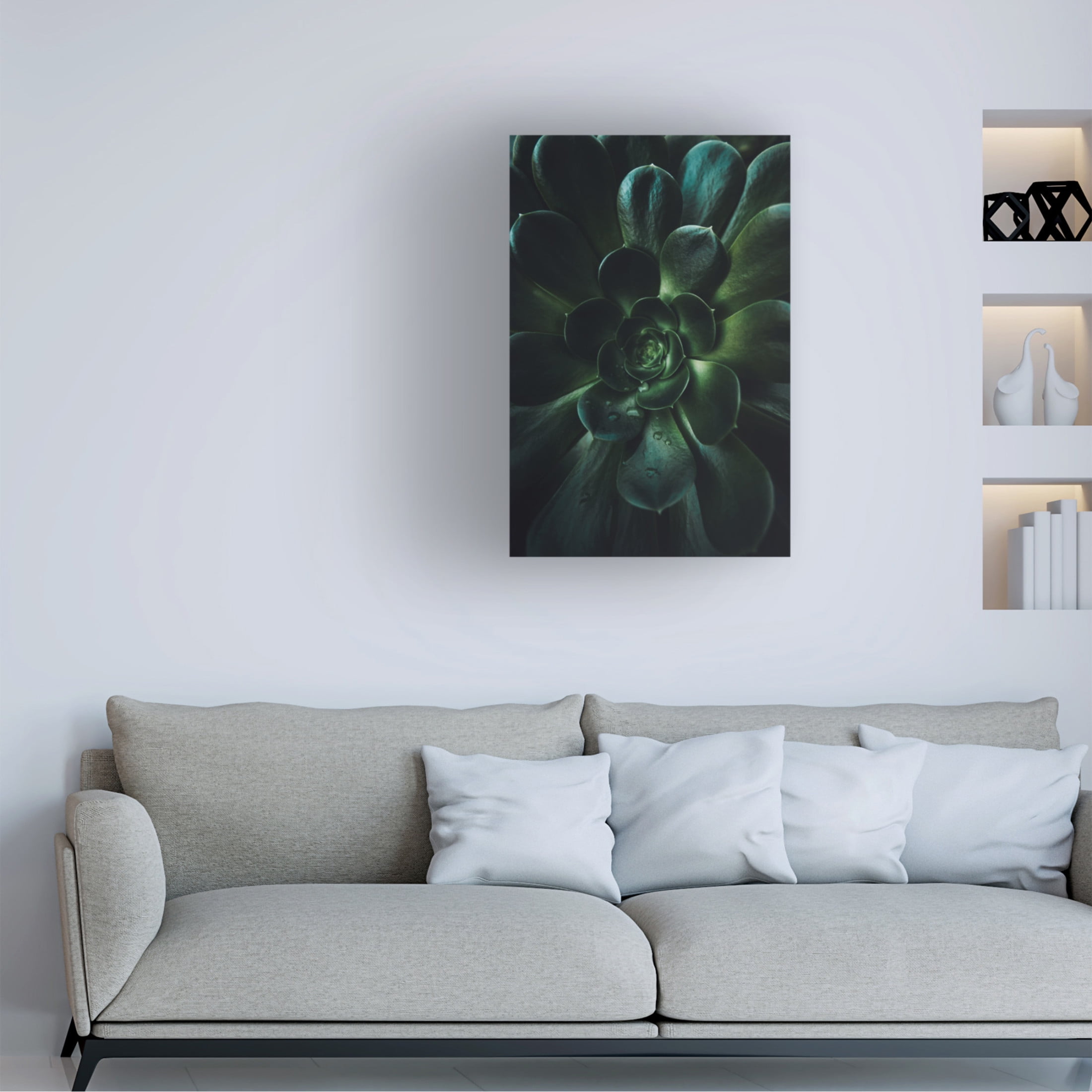 Trademark Fine Art Tim Mossholder Succulent Canvas Wall Art