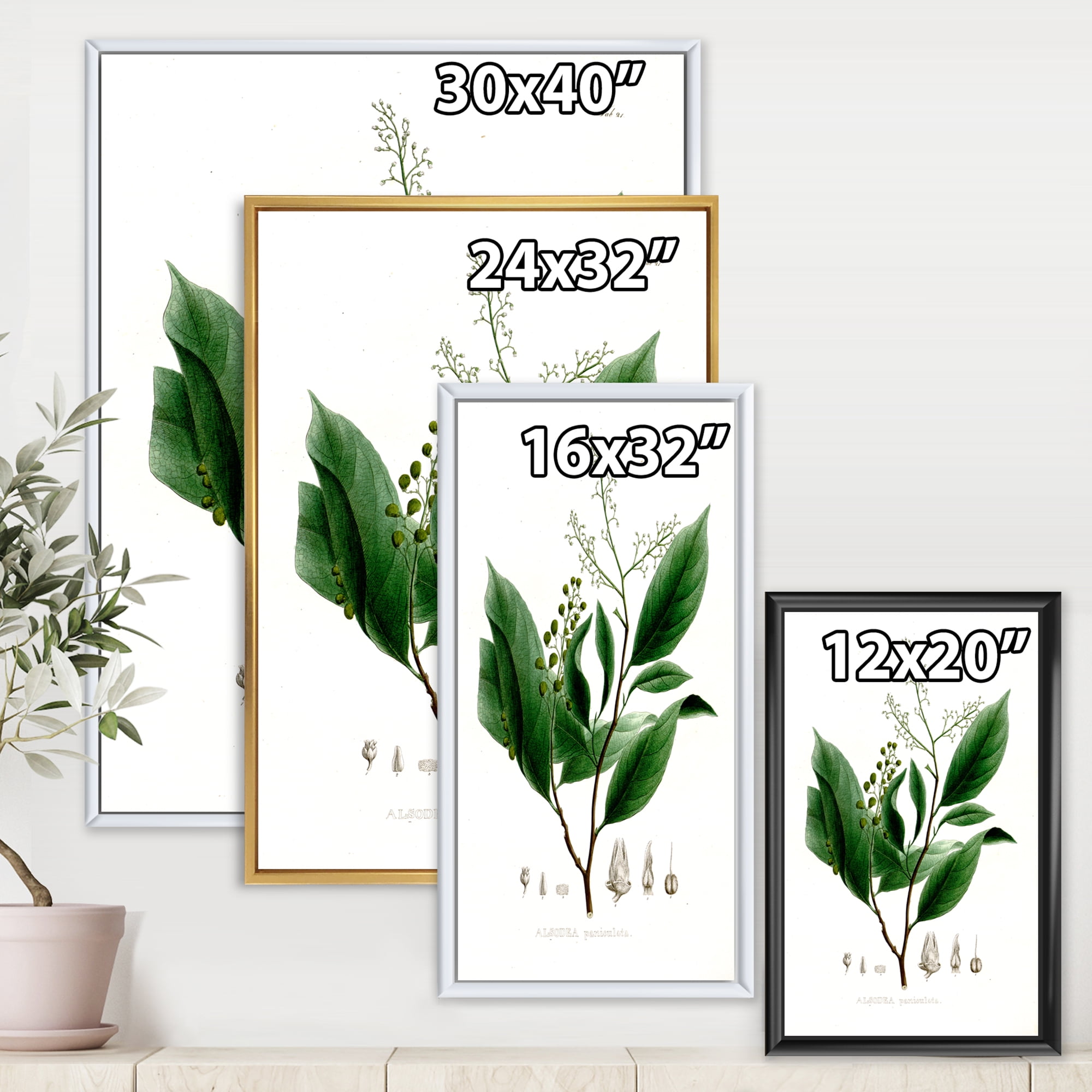 Designart 'Ancient Brazilian Plant II' Traditional Framed Canvas Wall Art Print