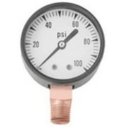 Simmons Mfg Co Pressure Gauge 100Psi Lf 1307