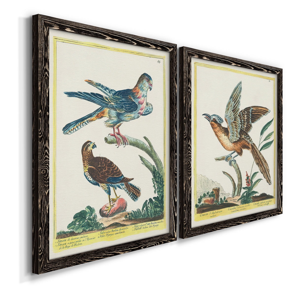 Pastel Birds III - Premium Framed Canvas 2 Piece Set - Ready to Hang