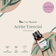 thumbnail image 3 of Aceites Esenciales Pachuli Natural UVa Natural 10 ML Aromaterapia Conjunto de Difusores y Humidifica, 3 of 6