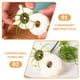 thumbnail image 4 of BRIGHTFUFU Cuchillo triturador de cebolletas, triturador de cebolletas, rebanador, rallador, cuchillo triturador, herramienta cortadora de verduras, 4 of 7