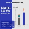 thumbnail image 2 of Nicotinamide Adenine Dinucleotide NAD Supplement - 500mg NAD+ Supplement with Resveratrol, Quercetin, Theacrine, Luteolin, Apigenin - Nicotinamide Riboside NR Alternative for Women & Men, 60 Capsules, 2 of 6