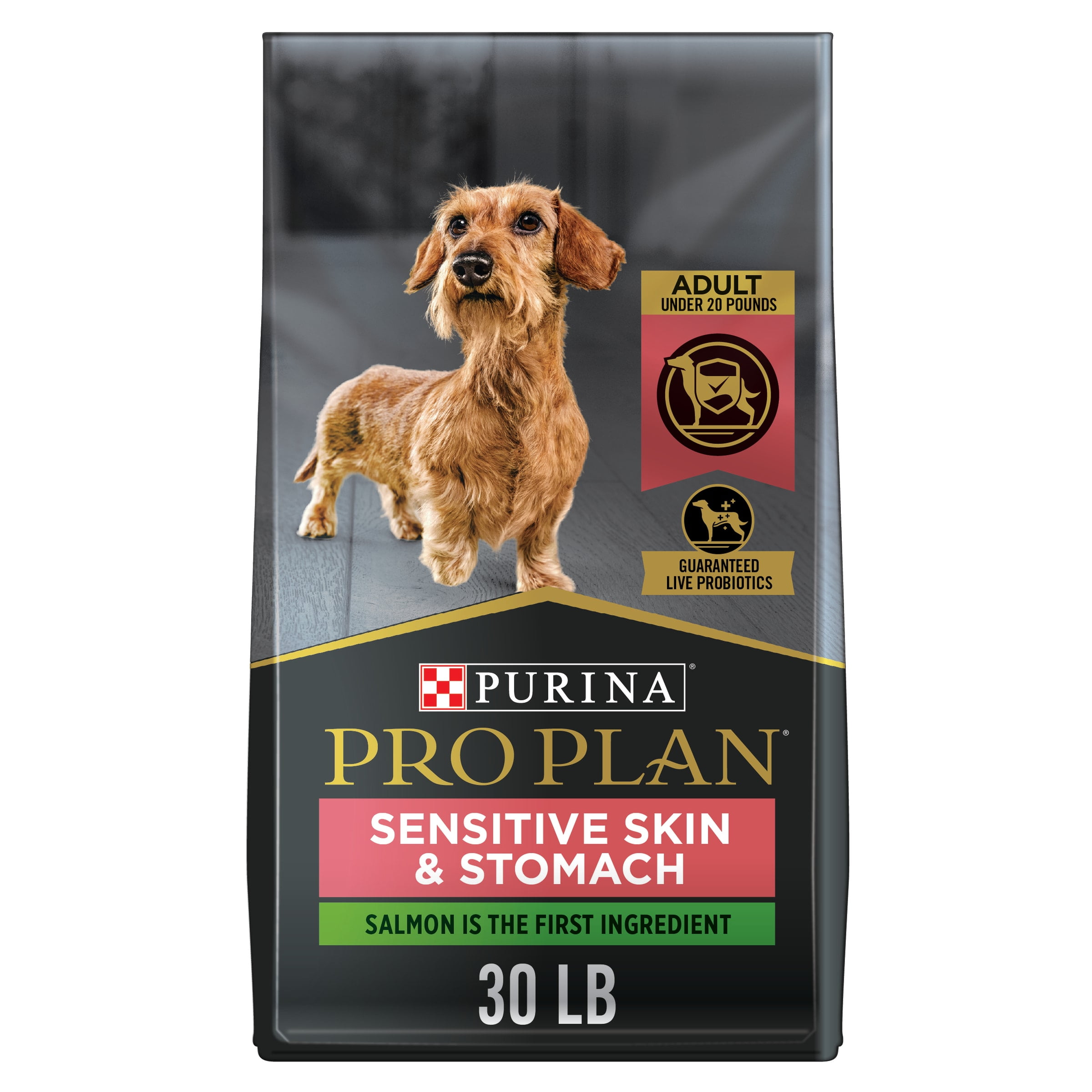 best dog food for small dogs at walmart