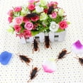 thumbnail image 5 of Prank Roaches 10-50PC - Realistic Cockroaches for Jokes & Scares, Lifelike Bugs for Halloween, Christmas Pranks & Trick Toys, 5 of 9
