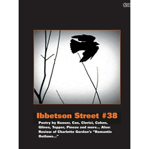 Ibbetson Street #38 (Paperback)