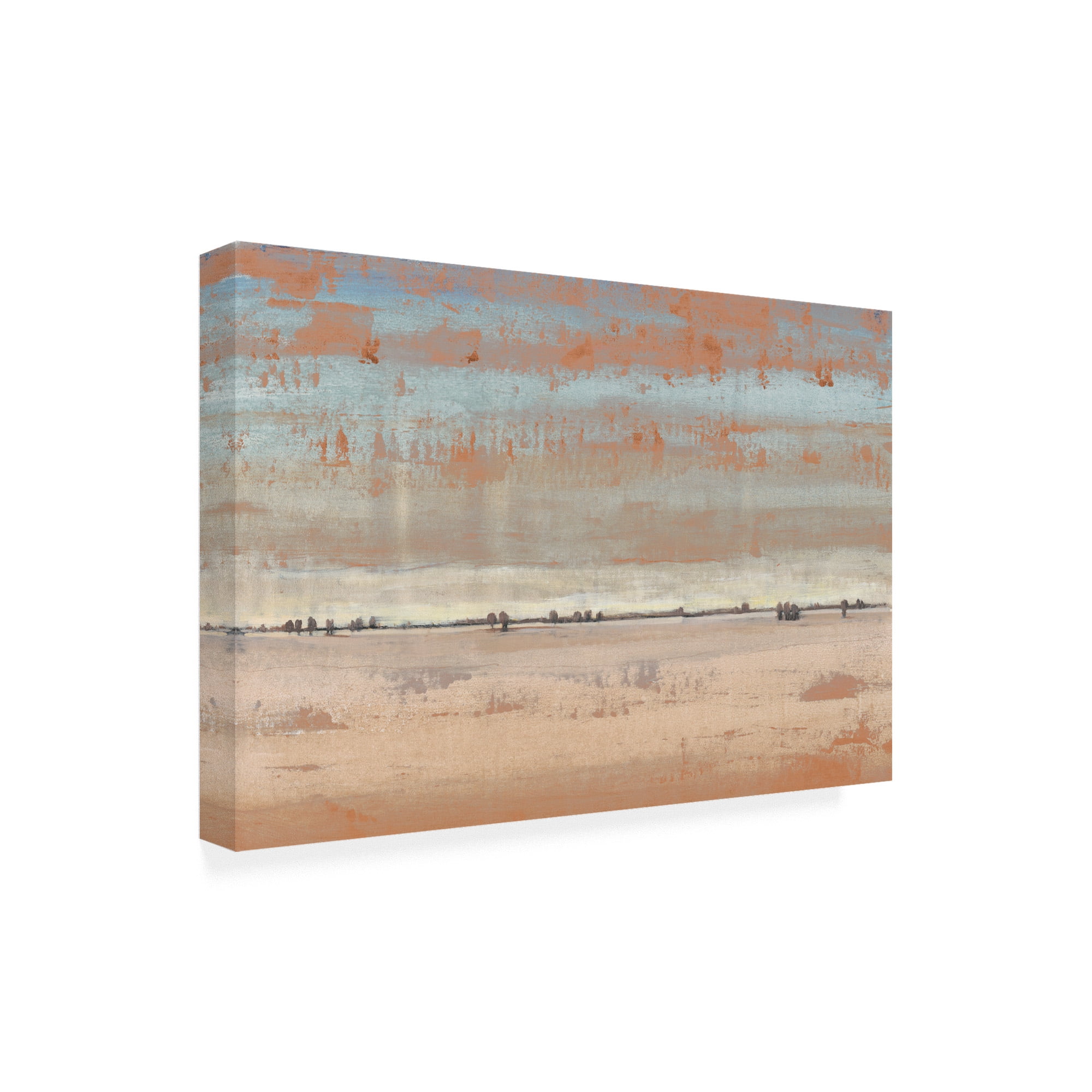 Trademark Fine Art 'Southwest Vista I' Canvas Art by Tim OToole