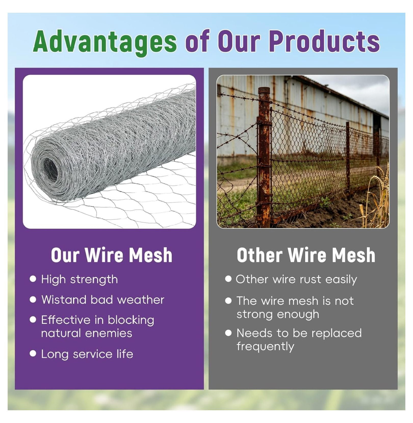 Galvanized Chicken Wire Netting Mesh for Garden Fences 6x150 Feet