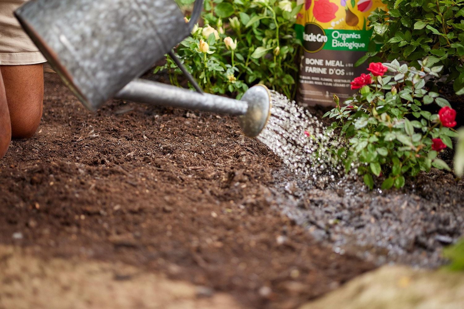 Miracle-Gro Organics Bone Meal 4-10-0 1.36kg, Bone Meal 4-10-0 1.36kg