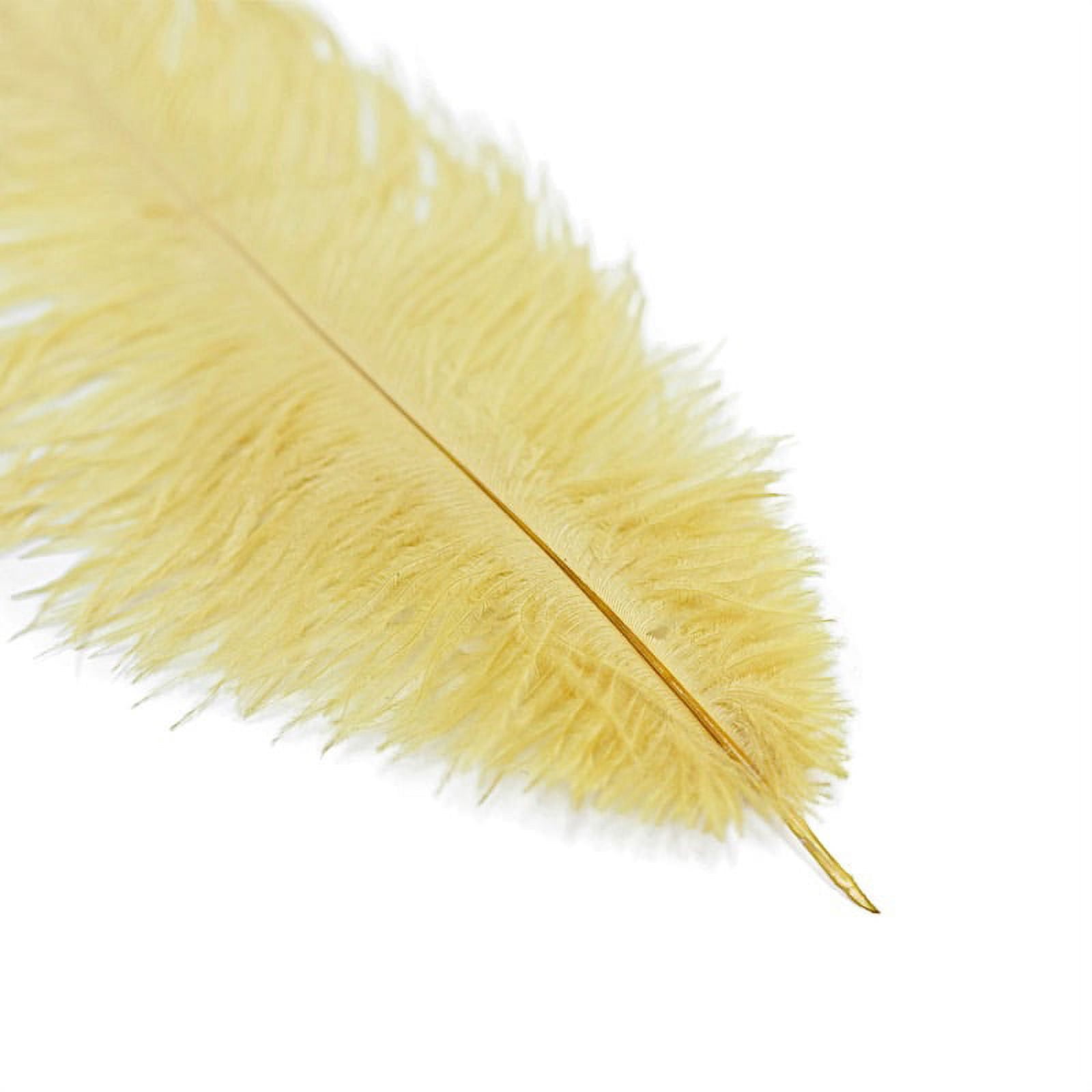 Balsa Circle 12 Pieces 13"-15" Gold Authentic Ostrich Feathers Centerpieces