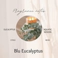 thumbnail image 6 of Hillhouse BEUDR Blu Eucalyptus Diffuser, 6 oz, 6 of 6
