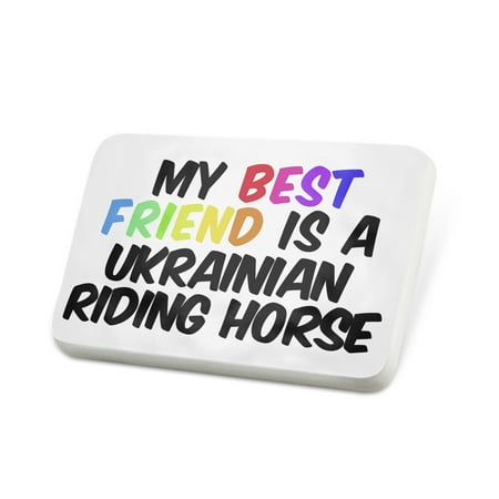 Porcelein Pin My best Friend a Ukrainian Riding Horse Lapel Badge –
