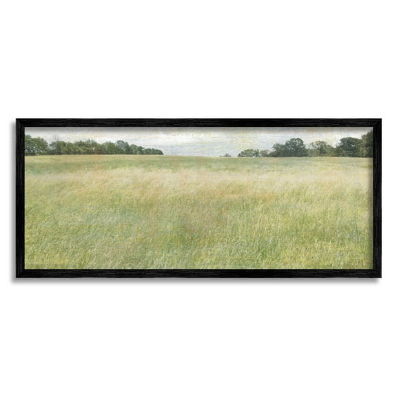 Vast Grassland Field Rural Scene Landscape Graphic Art Black Framed Art Print Wall Art