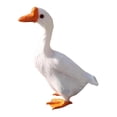 thumbnail image 3 of DYNWAVECA Artificial Feather Goose Statue Prop Housewarming Simulation Animal Figurine 15cmx20cm, 3 of 10