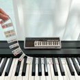thumbnail image 1 of Guía de notas de piano BEATBIT para principiantes, tamaño completo de 88 teclas, 1 of 7