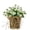 beige, variant on Cream Hydrangea Door Hanger Basket Wreath, 2026 New Artificial Wildflowers Front Door Basket, Hanging Spring Summer Wreath, for Home Porch Farmhouse Decor Front Door Wildflower Wreath