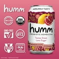 thumbnail image 3 of Humm Kombucha, Pomegranate Lemonade, 12 Pack, 12 oz Cans, 3 of 5