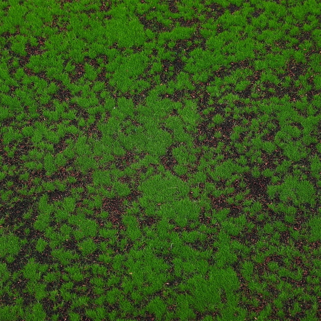 UPOUART Tapete De Musgo Artificial Verde Simulado Para Paisajismo Y Manualidades Con Textura