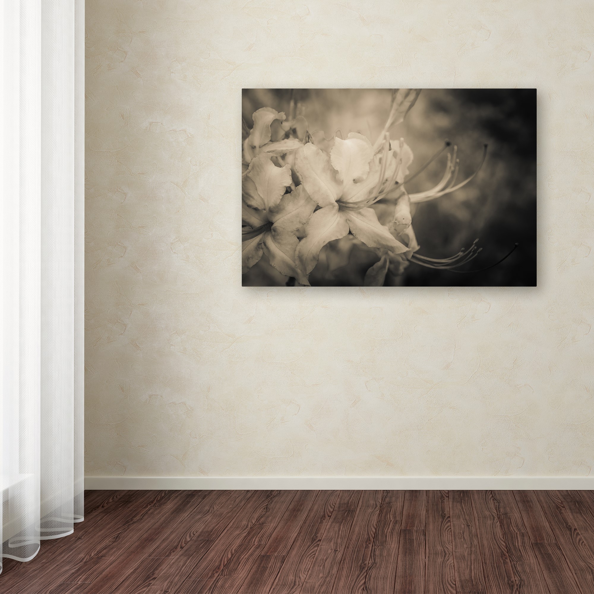 Trademark Fine Art 'Sepia Aged Rhododendron Blooms' Canvas Art by PIPA Fine Art