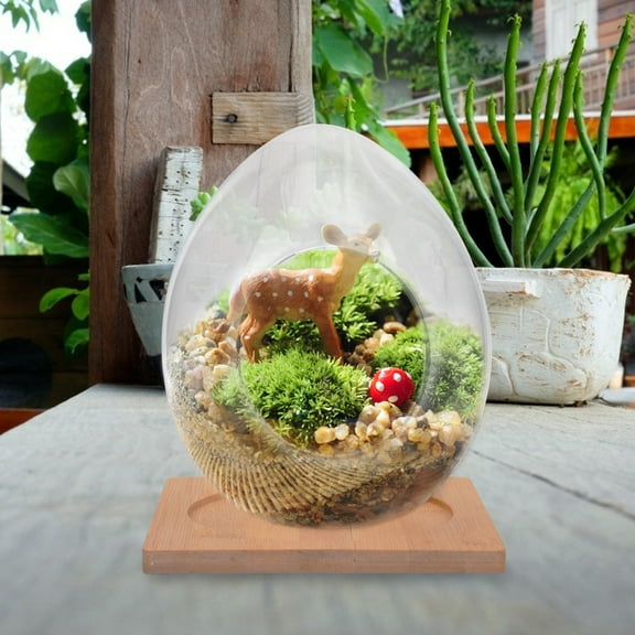 WHAMVOX  Planters Hydroponic Terrarium Moss Plants Decorative Bottle
