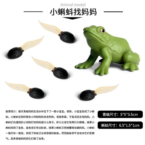 1 Set Miniature Frog Figurines: Realistic Frog & Tadpole Statue for Terrarium Decor - Pond Animal Collectible Model - Micro-landscape Miniatures