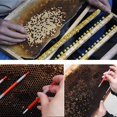 thumbnail image 4 of 20PCS Beekeeping Moving Grafting Tools Beekeeper Bee Hive Queen Larva Rearing, 4 of 4