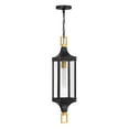 thumbnail image 5 of Savoy House - 5-277-144 - Glendale 1-Light Outdoor Hanging Lantern in Matte Black and Weathered Brushed Brass, 5 of 5