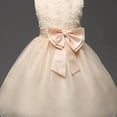 thumbnail image 4 of De De Princesa con Encaje Niñas BLESIY Vestidos De Niña, 4 of 8