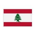 thumbnail image 1 of Lebanon Flag 5 Lebanese People Flag Protest Rally Support Lebanon New U3D8, 1 of 6
