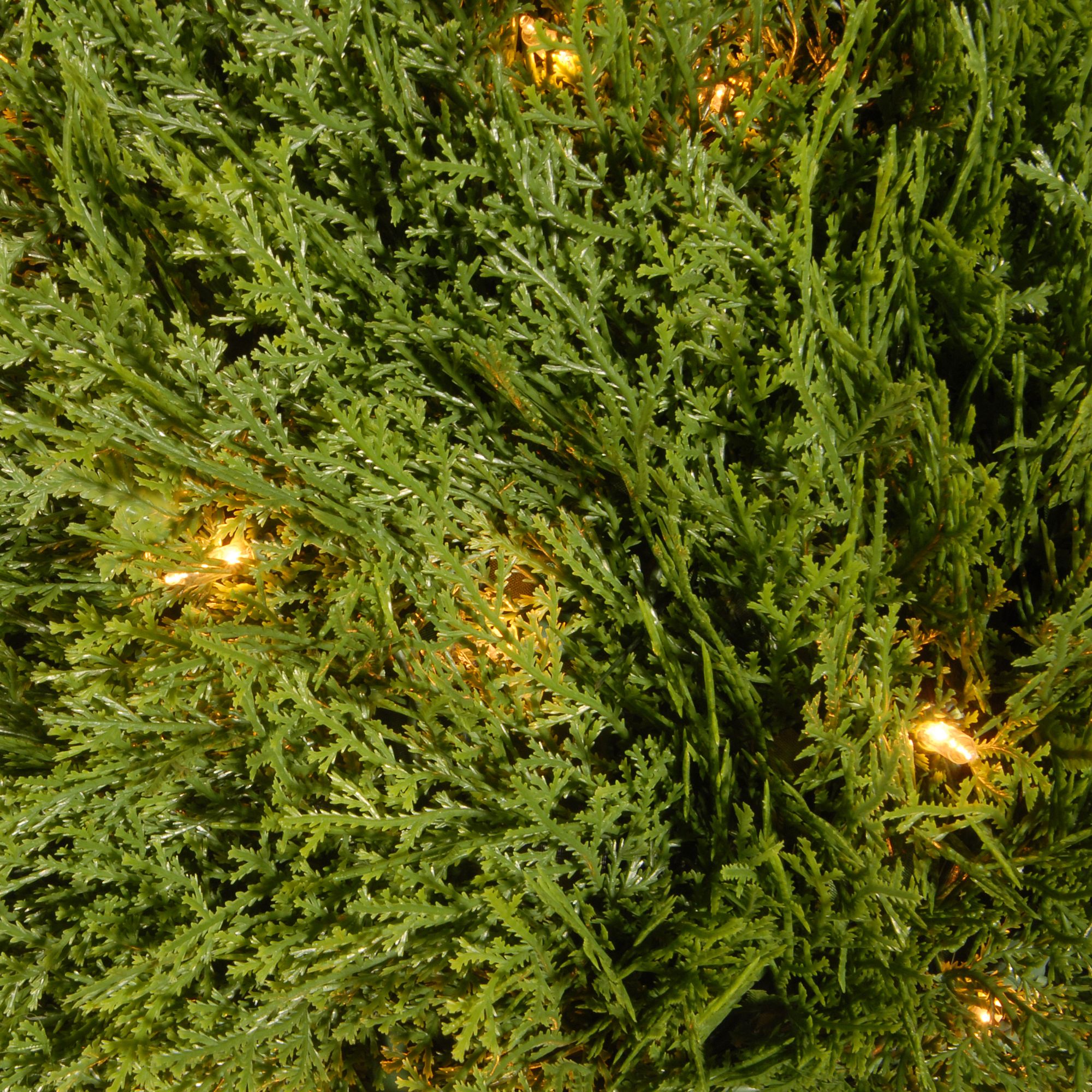 24" Pine Topiary in Round Green Growers Pot - Clear Lights - image 3 of 3