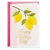 Connections from Hallmark Mother's Day Card (Bright and Happy Moments Lemons and Flowers)
