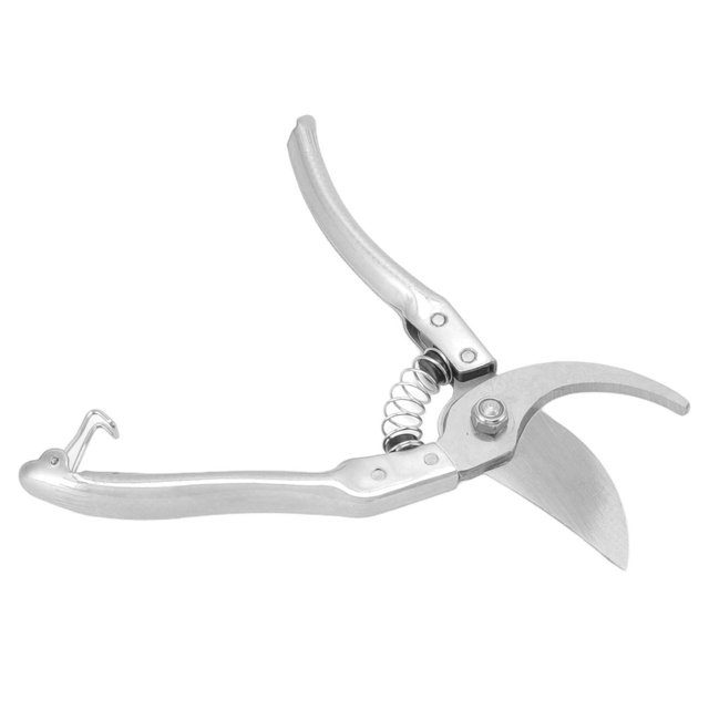 Ciseaux à Ongles pour Animaux, Coupe-Sabots Antidérapants Poignée Confortable en Acier Inoxydable pour Perroquet Argent, Rouge
