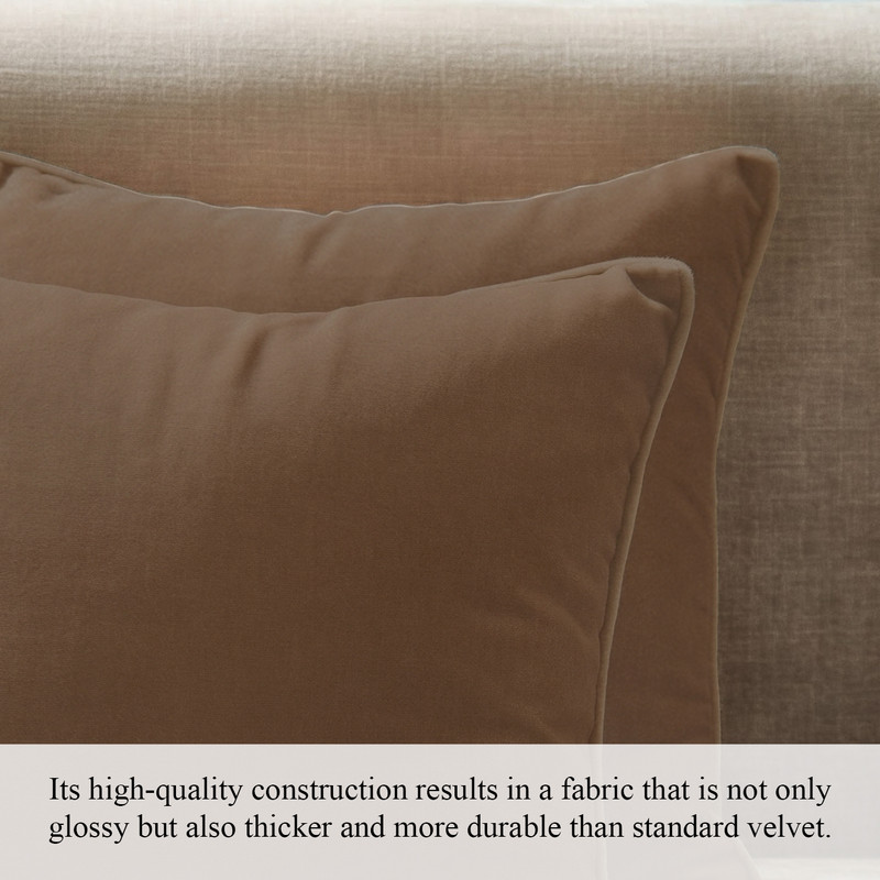 A1HC Set of 2 Luxurious Soft Velvet Throw Pillow Covers Only, 24"x24", Cocoa, Decorative Cushion Covers with Hidden YKK Zipper for Sofa or Bed