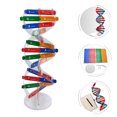 thumbnail image 4 of MasteelfCA 1 Set Human Genes Model DNA Model Scientific Toys Children Assembly Build Toy, 4 of 9