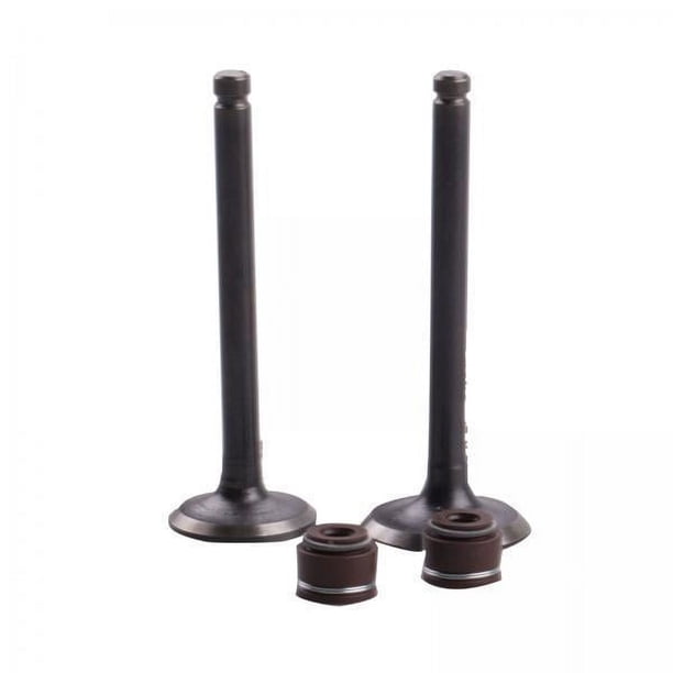 Válvulas de de admisión,Kit de válvula de vástago de de admisión,reemplazo directo,Válvula de de admisión de piezas de motor de motocicleta,Conjunto de 2 piezas