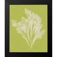 thumbnail image 2 of Vision Studio 20x24 Black Modern Framed Museum Art Print Titled - Seaweed Pop V, 2 of 5