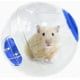 thumbnail image 1 of Pelota de ejercicio para hámster, juguete para hámster de animales pequeños, rueda para correr deportiva de 6 ', bola transparente para actividad de hámster para ratones y ratas, 1 of 5