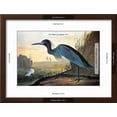 thumbnail image 3 of Audubon Little Blue Heron, Animals Framed Art Print Wall Art by John James Audubon Sold by Art.Com, 3 of 6