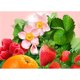 thumbnail image 1 of Pintura de diamante (DB3337) flor de fruta 5D DIY arte cuadrado abalorios 40x30cm 45x60cm Hugtrwg Para estrenar, 1 of 1