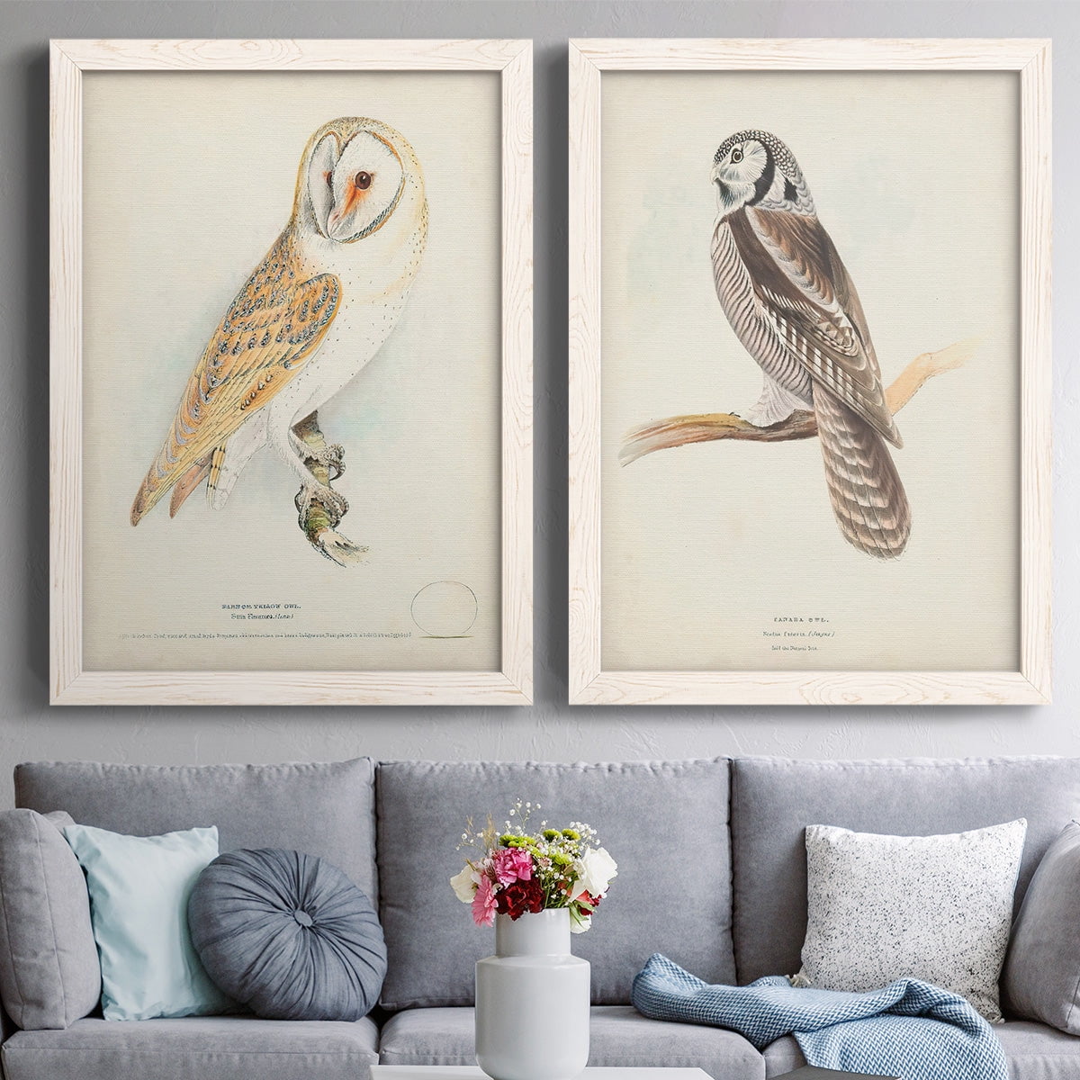 Barn Owl - Premium Framed Canvas 2 Piece Set - Ready to Hang