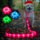 thumbnail image 1 of Correa LED para perro Weesiber, luz brillante, recargable por USB, rosa, 1 of 7