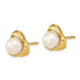 thumbnail image 2 of Auriga Fine Jewelry 14K Yellow Gold 5-6mm White Pearl Stud Earrings for Women(L- 8mm, W- 8mm), 2 of 5