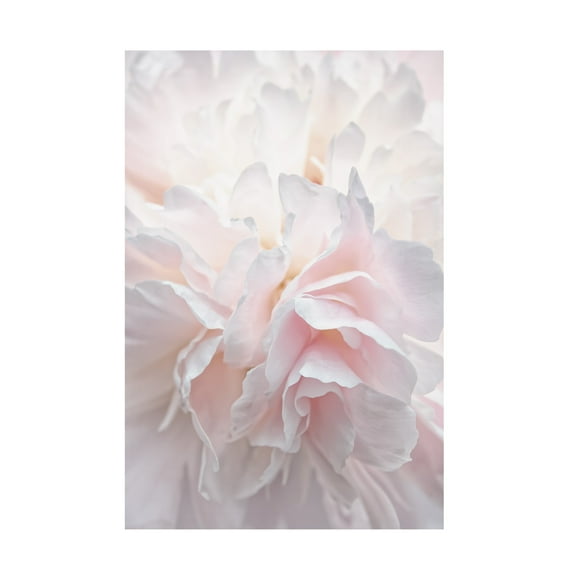 Trademark Fine Art Cora Niele Pink Peony Petals IV Canvas Wall Art - 12x19