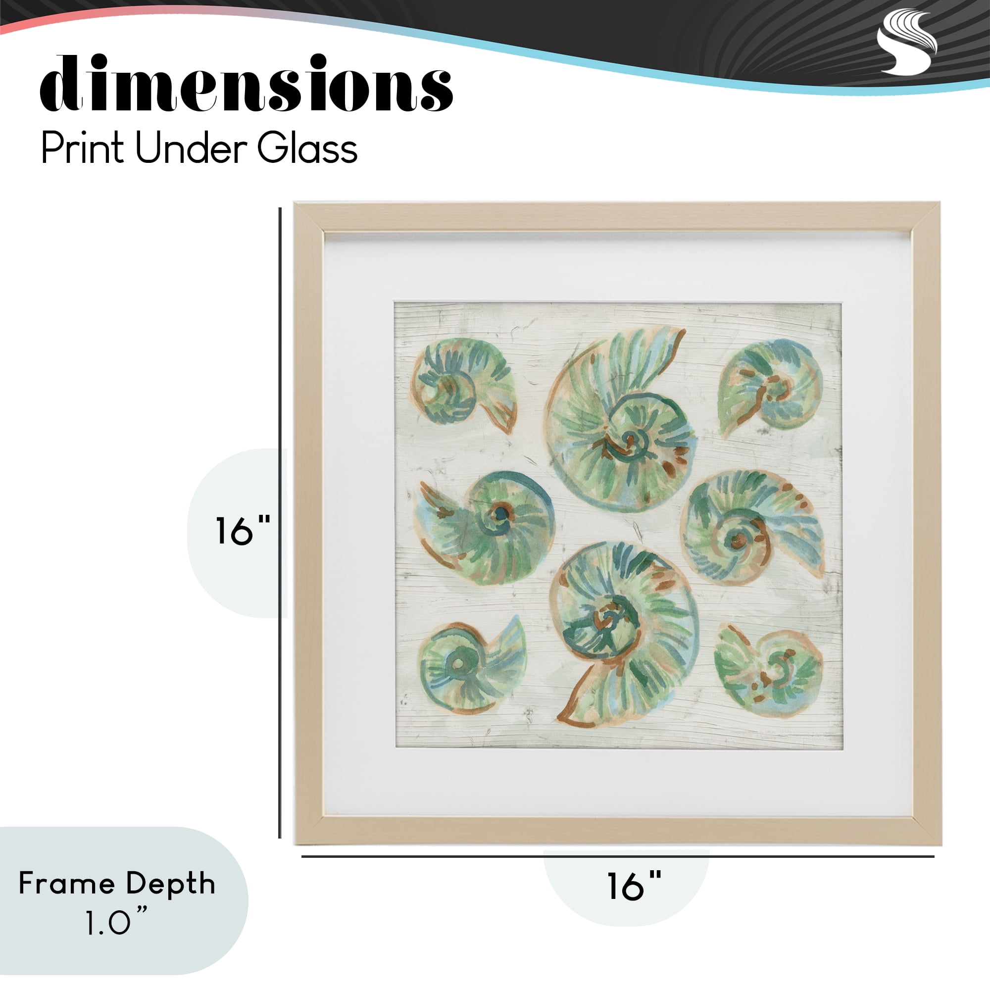 Stupell Industries Organic Saltwashed Shells Birch Framed Print Under Glass, design by June Erica Vess