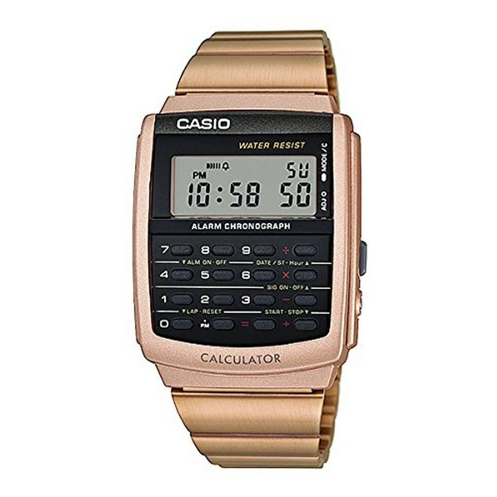casio databank series