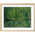thumbnail image 2 of Trees and Undergrowth, c.1887, Scenic Framed Art Print Wall Art by Vincent van Gogh Sold by Art.Com, 2 of 6