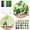 Style#03, variant on Needle Felting Kit, Felt Painting Kit for Beginners, Felt Painting Set with Wool, Needle Felting Pad, Felting Needles, Felting Wool, Decorative Frame,DIY Instructions，Used for Home Decoration